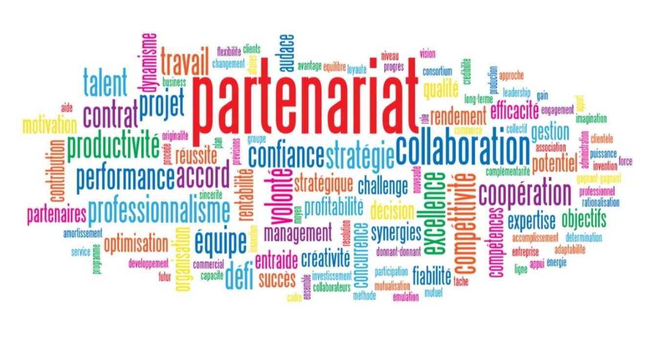 Microsoft Partner Program Management